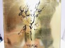 Raro Disco TRIADE : 1998 LA STORIA DI SABAZIO   - 1' stampa 1973