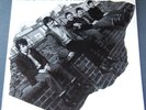 The Undertones - The Undertones LP Original - Australian Pressing 1979 - Mint