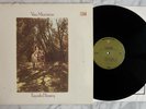 Van Morrison Tupelo Honey Vinyl Record Album LP OG Green Label '71 NM PRISTINE