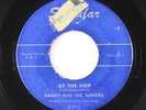 Rock & Roll 45 - Danny & the Juniors - At The Hop - Singular - w/intro
