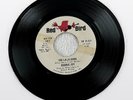 Roddie Joy The La Song / He's So Easy To Love 7