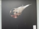 Final Fantasy VII Remake And Final Fantasy VII - Picture Disc Vinyl