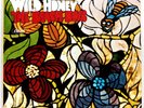 The Beach Boys Wild Honey 1967 Vinyl LP Capitol ST-2859 Original Press