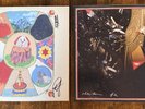 White Denim Performance (Band signed) And Fits Vinyl Bundle