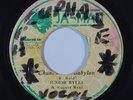 Reggae 45 JUNIOR BYLES Chant Down Babylon/Version on Ja-Man VG+