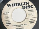 Group 45 The Channels I Really Love You PROMO