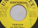 THE LITTLE DIPPERS - FOREVER / Two By Four - 1960 UNIVERSITY  Doo Wop VG+