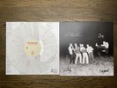 The Royston Club Shaking Hips Crashing Cars Blood Records Signed Pink & White LP