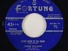 Andre Williams 