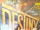 The Jacksons Destiny 12