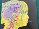 KEITH TIPPETT GROUP Dedicated To You Vertigo UK Swirl 1971 LP EX w/ Robert Wyatt