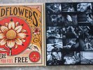 Tom Petty Wildflowers & All The Rest 3 LP Vinyl Tri-Fold 093624929291 Honey Bee