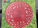 Kasabian. Happenings LP. Blood Records Trippy Shroom Picture Disc. 310/2000 Mint