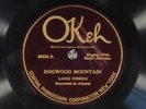 78 RPM -- Land Norris, Okeh 40433 