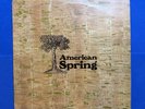 Brian Wilson: American Spring Vinyl 12-IN LP-1972 UK Issue  RARE FIND