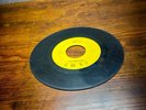 THE SURPRIZE Too Bad / I Will Make History 1967 Florida Fuzz Garage 45 Cent