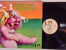 Missing Link Nevergreen  LP Germany Prog Rare