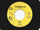 ROCKABILLY 45 - LEFTY and LEADSMEN - WILDWOOD FUN  - HEAR - 1963 PA. CO and CE