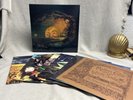 Mellon Collie and the InFinite Sadness by Smashing Pumpkins 4 LP Boxset