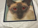 Blink 182 Cheshire Cat Red Eyes LP 1996 First Pressing GRL-001 with Inserts