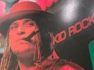 Kid Rock Devil Without A Cause Limited Ed. Orange