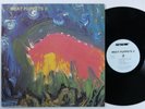 MEAT PUPPETS II SST LP VG++ 1st pressing y
