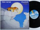 TYGERS OF PAN TANG Spellbound MCA LP VG+ promo y