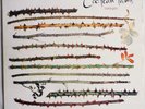 Twinlights 45 rpm/m, Import Cocteau Twins