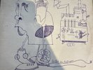 The Yardbirds Roger the Engineer Vinyl
