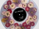 Amy Winehouse Back To Black 20th Anniversary Flower-Filled Vinyl LP Sold Out